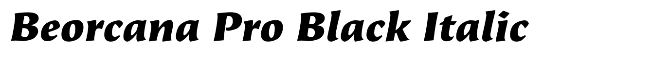 Beorcana Pro Black Italic image